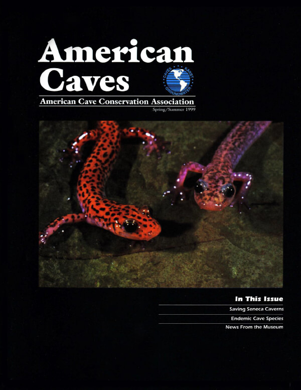 American Caves-Spring Summer 1999