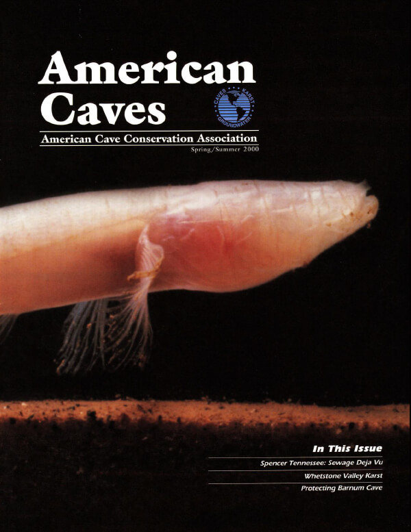 American Caves-Spring/Summer 2000